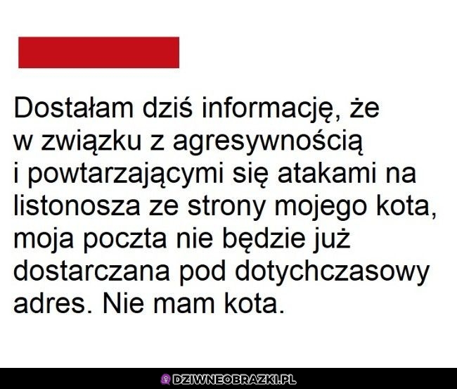 Agresywne kitku