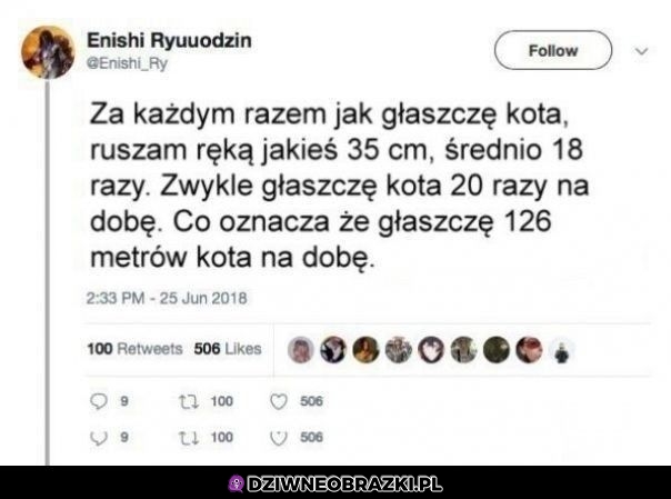 Głaskanie kota
