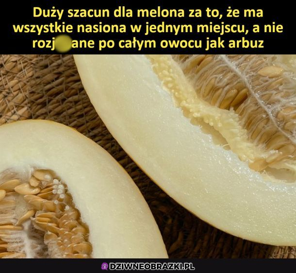 Szacun dla melona