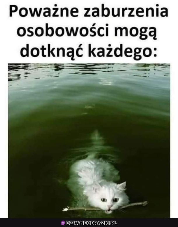 Coś tu poszło nie tak