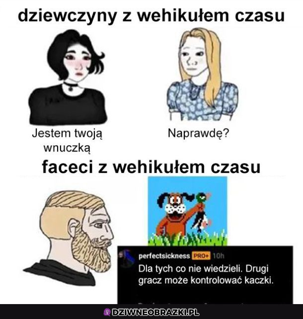 O kurcze, gdzie mój pegasus