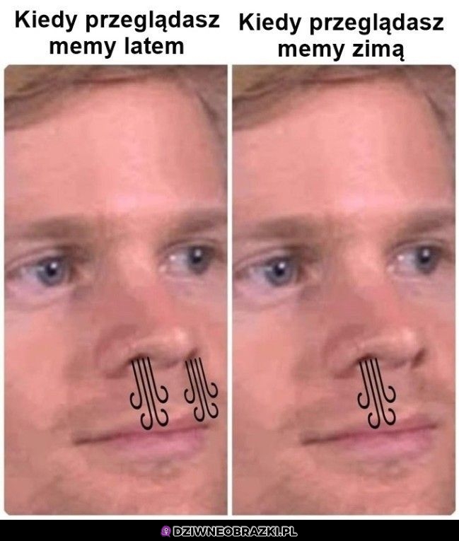 Przeglądanie memów takie jest