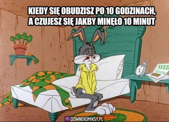 Każdego ranka