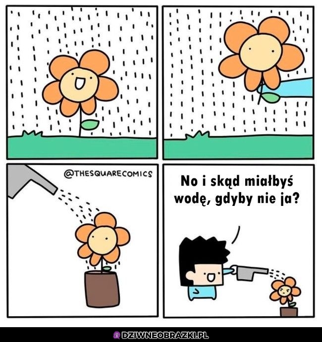 No ciekawe