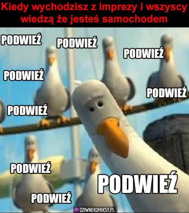 Żebraki wszędzie