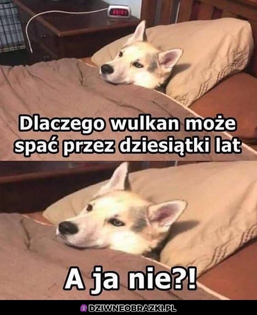 No dlaczego?!