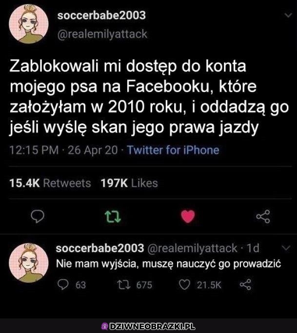 Nie ma innej opcji