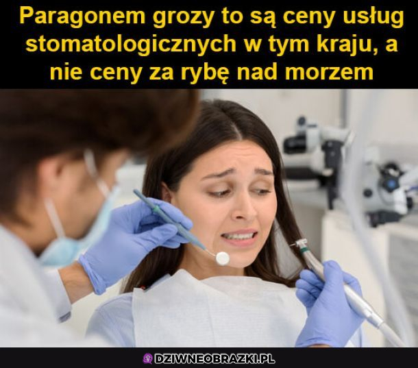 paragon grozy