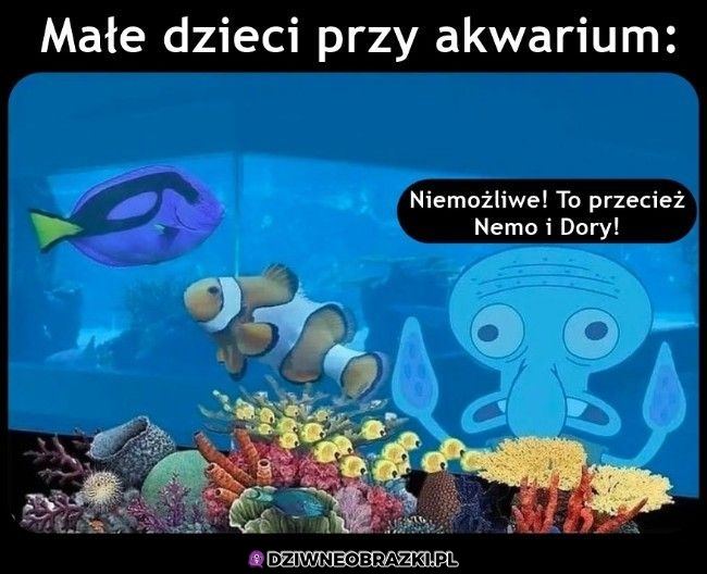 Dzieci przy akwarium