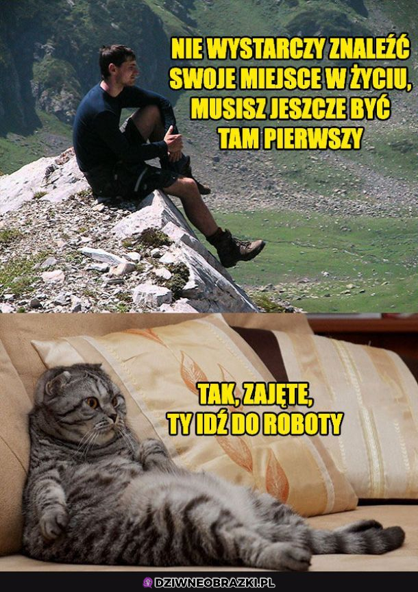 Swoje miejsce w życiu