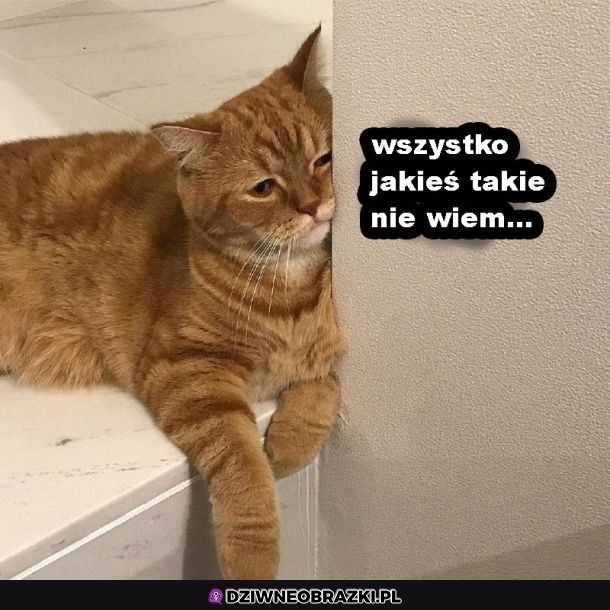 Jak cały ten rok