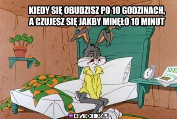 I tak każdego dnia