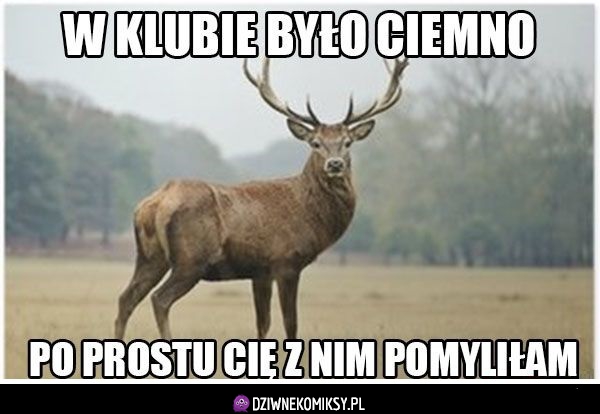 Oj tam oj tam