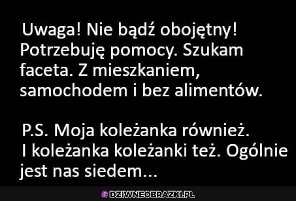 Szukam faceta