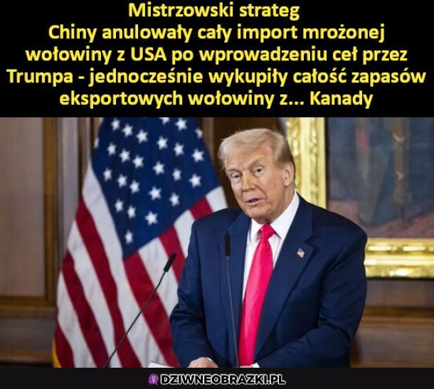 Mistrz