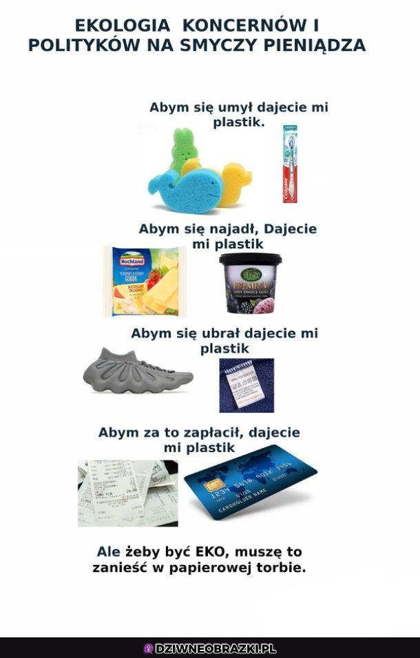 Ekologia