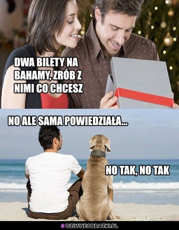 To jej wina