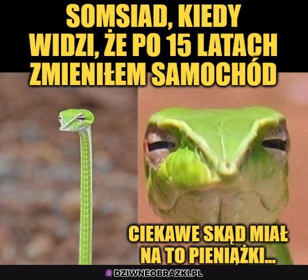 Na pewno ukradł