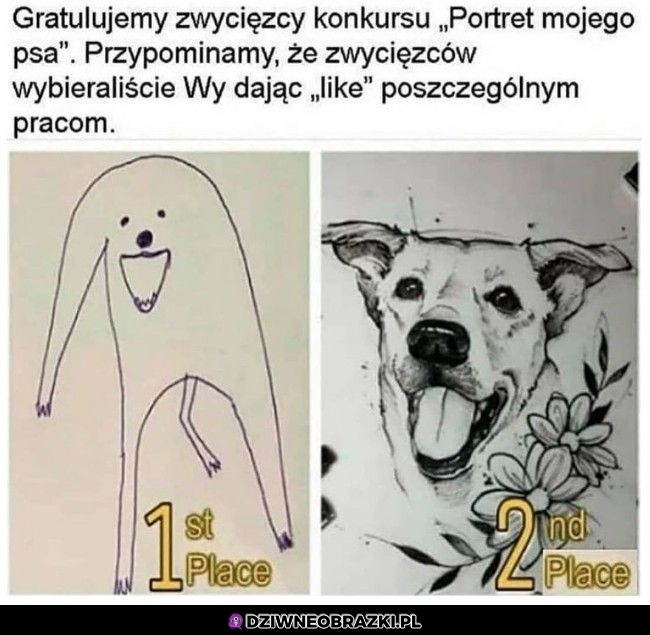 Gratulacje dla zwycięzcy