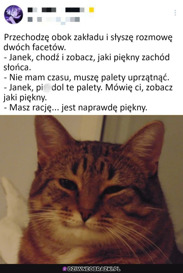Rozmowa