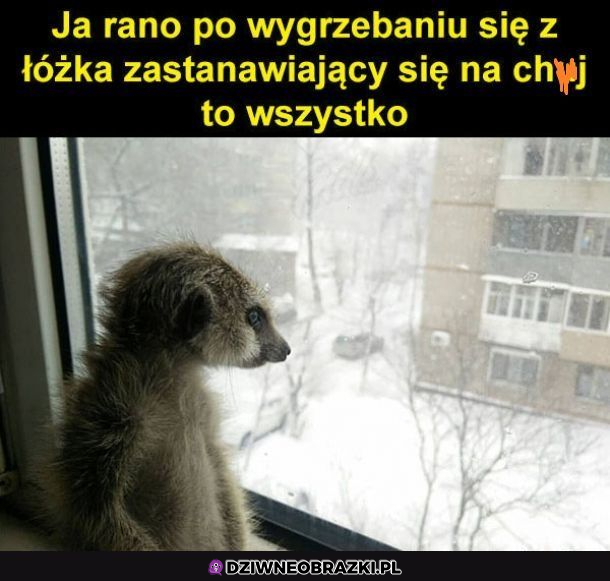 Nawet fryzura z rana podobna 