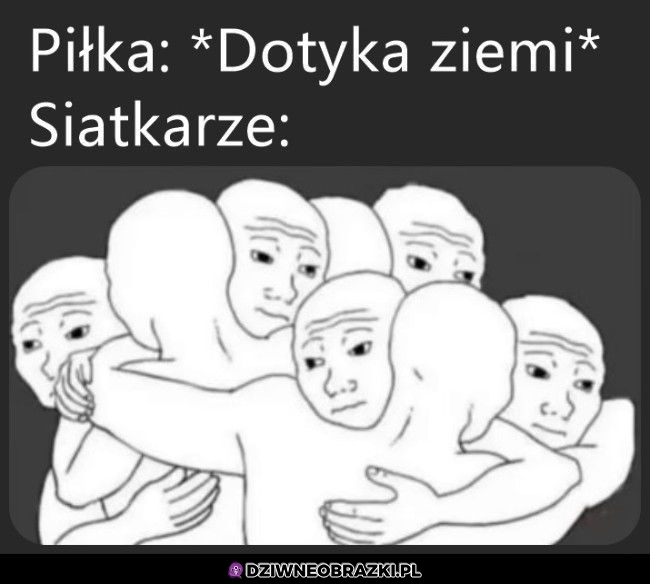 Siatkówka w pigułce