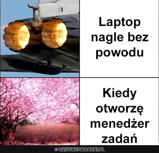 Laptop tak ma