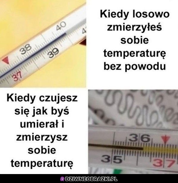 Zawsze to samo