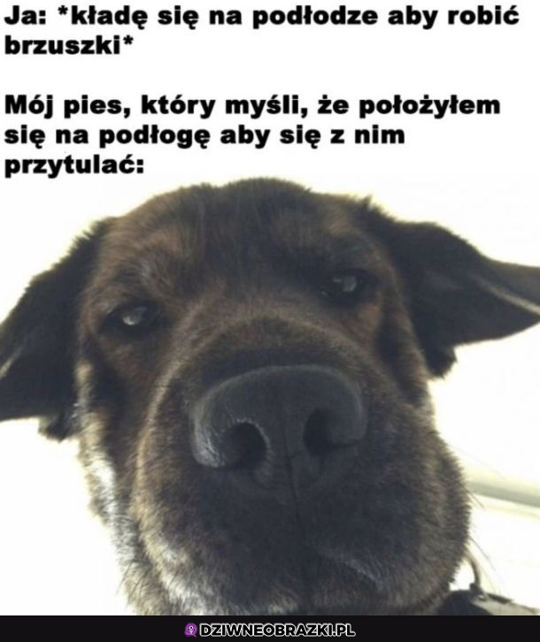Kiedy masz psa
