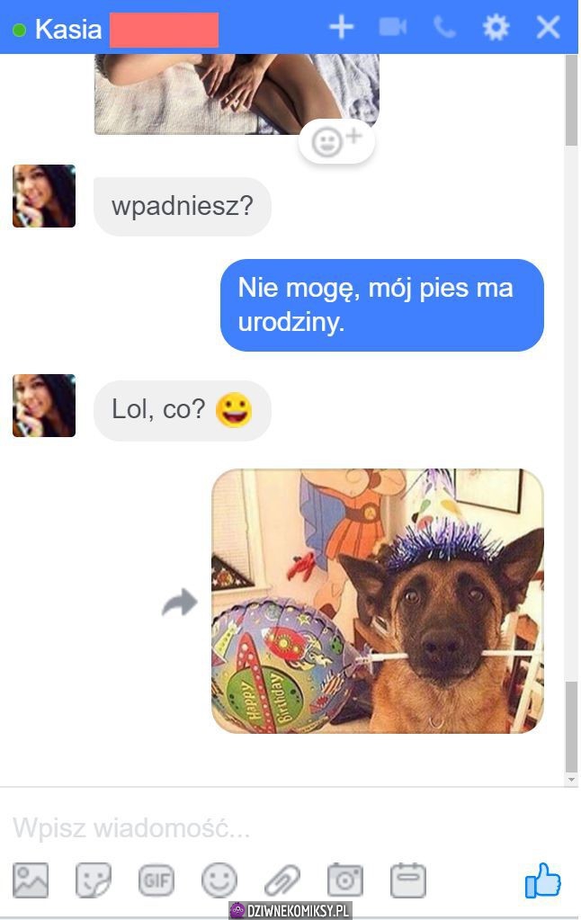 Kiedy możesz poruchać, ale pies ma urodziny