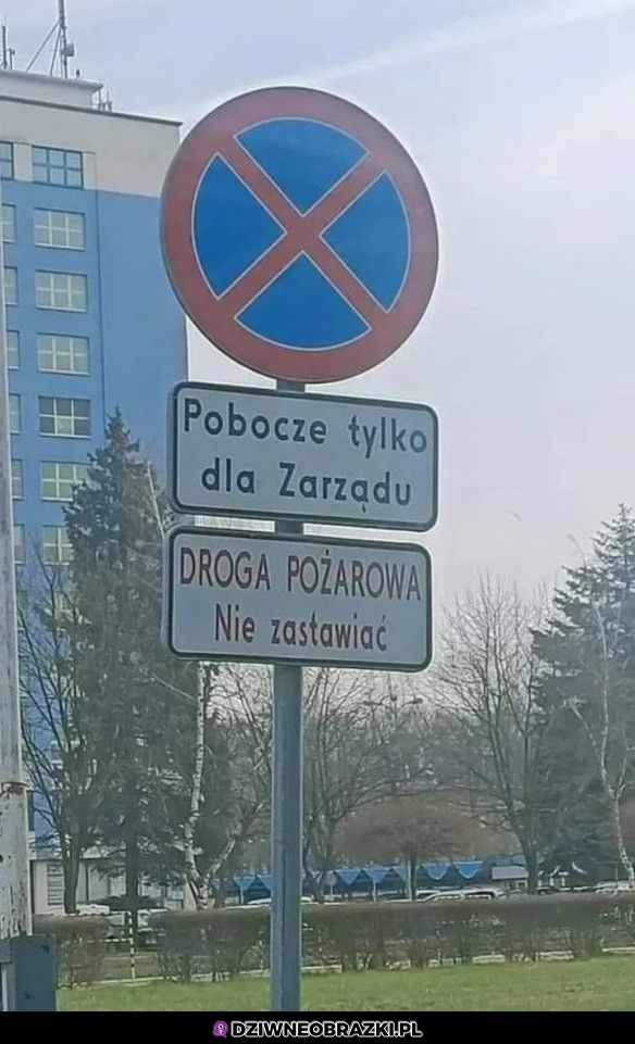 Dla zarządu