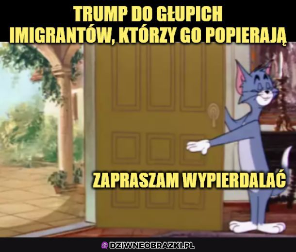 Przynajmniej imigrantów traktuje równo 