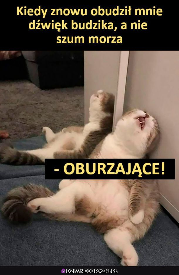 Nie tego oczekiwałeś
