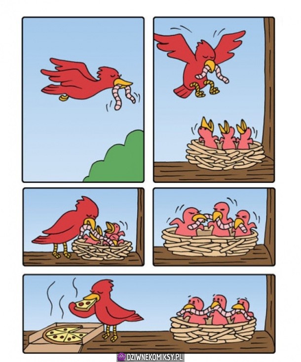 Ptaszki