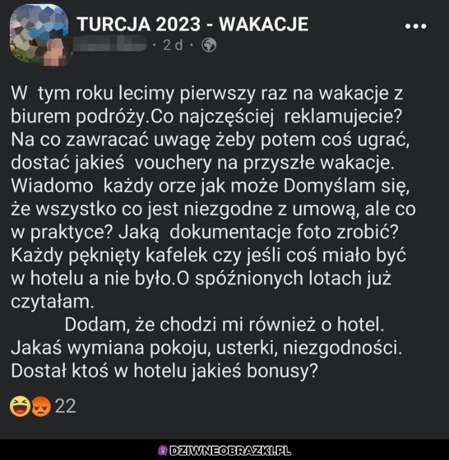 Kiedy cebula rusza w świat