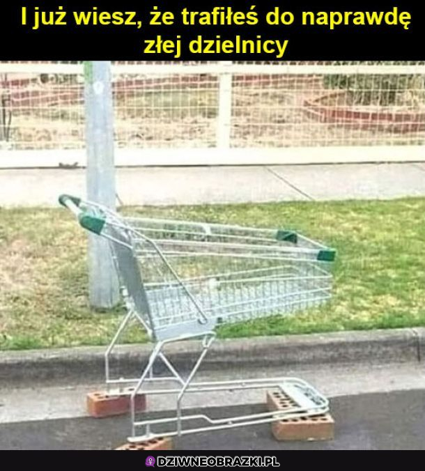 Halo, proszę oddać koła 