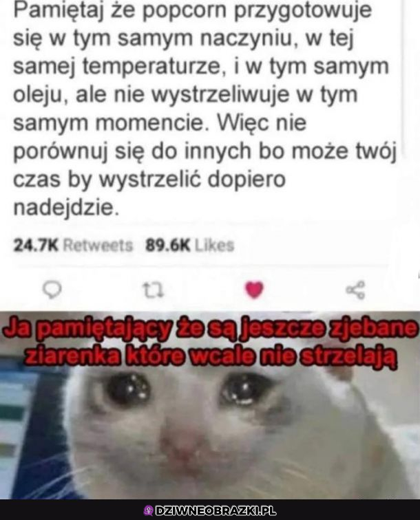 Bądź jak Popcorn