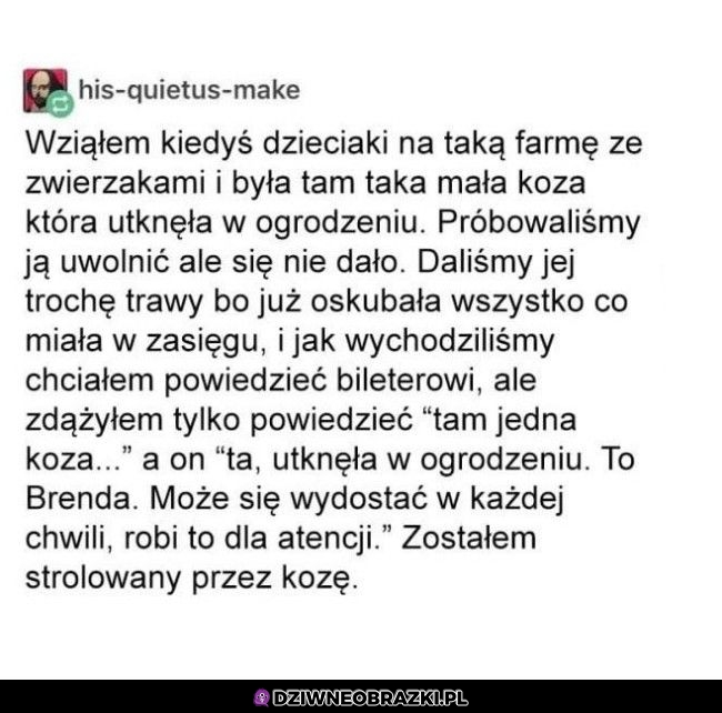 Trolololo