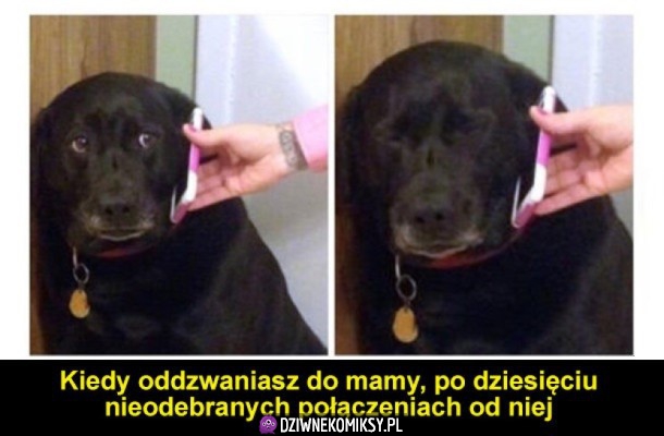 Najgorzej