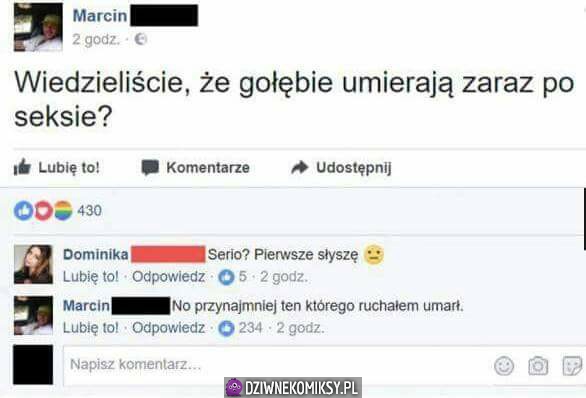 Gołębie umierają po seksie