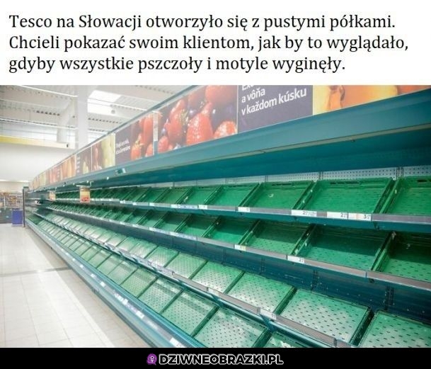 Niezła wizualizacja