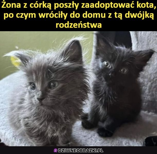 śliczne są