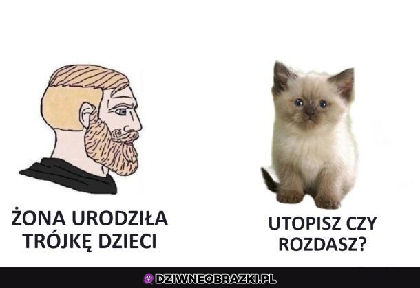 Kiedy masz trojaczki