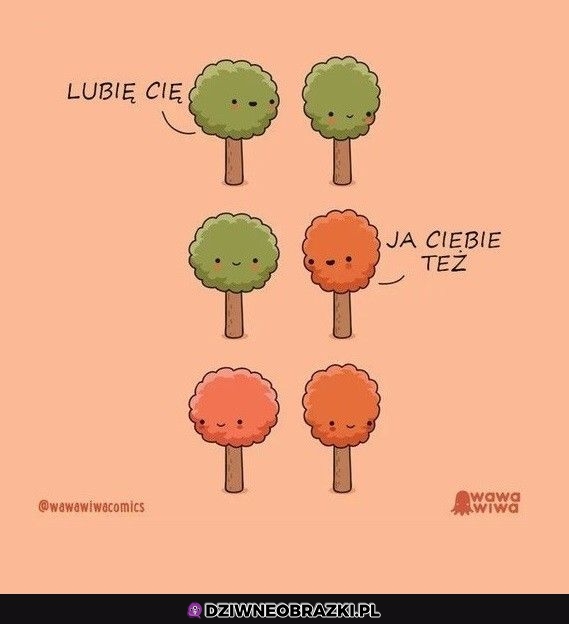 Ojoj