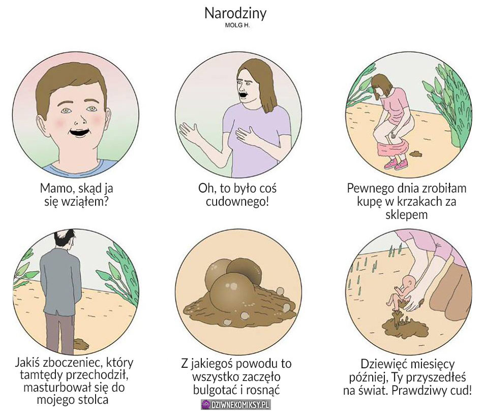 Teraz już wiem, skąd tak naprawdę biorą się dzieci