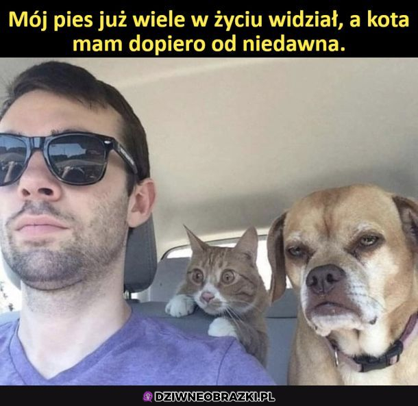 Odkrywają świat