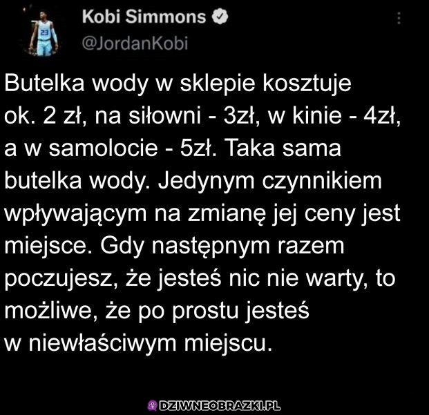To całkiem trafne spostrzeżenie
