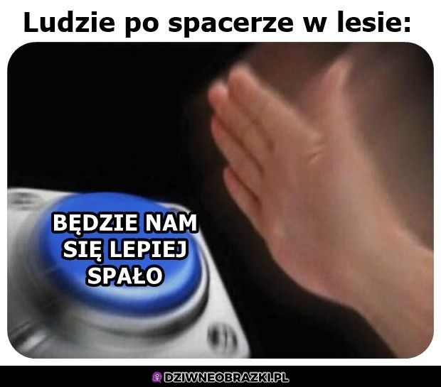 Bo to prawda