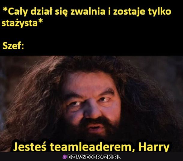 Kiedy wszyscy się zwolnią