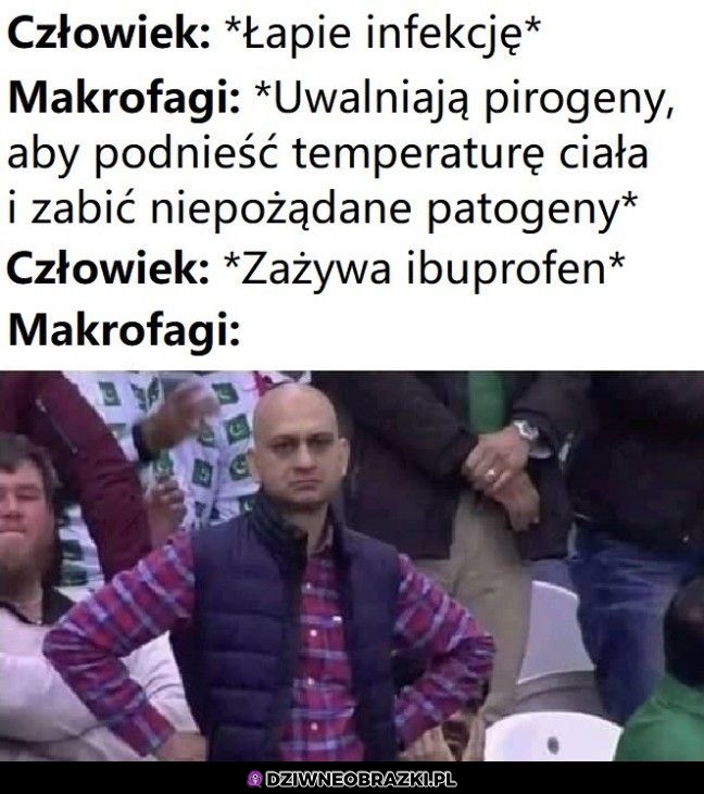 No i co to ma być